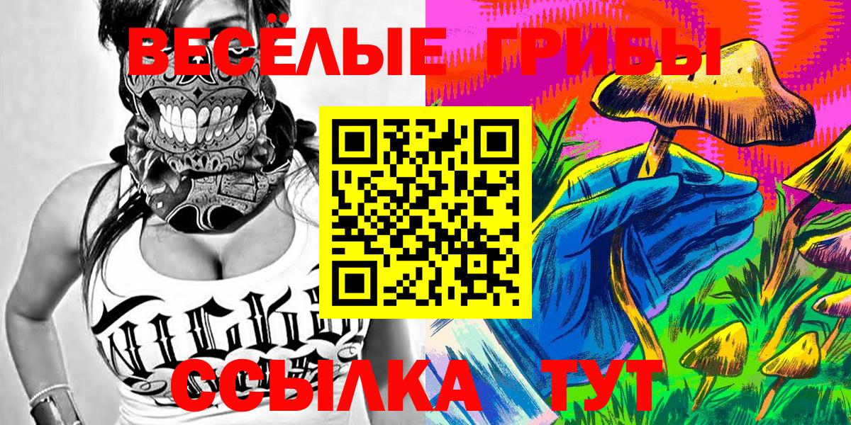 Псилоцибиновые грибы мицелий  Вход с VPN  Полысаево 