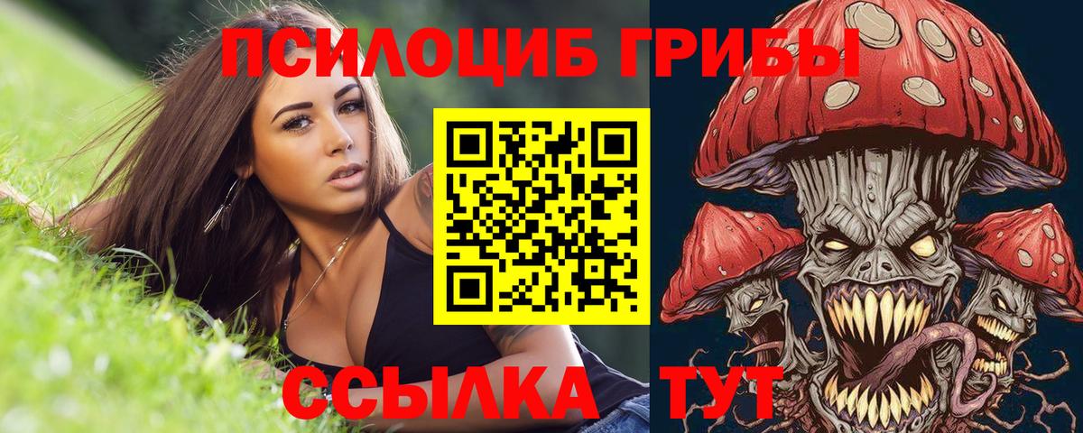 Галлюциногенные грибы GOLDEN TEACHER Полысаево